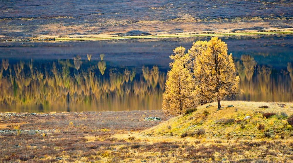 Встреча миров