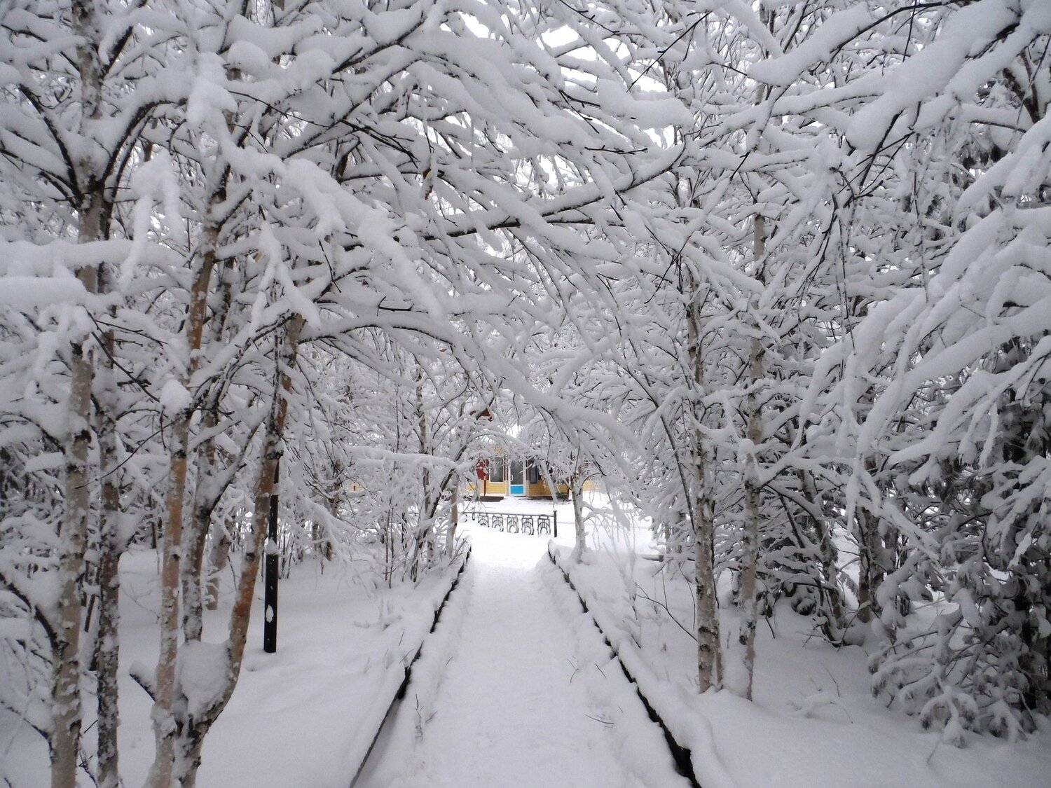 ЯМАЛ