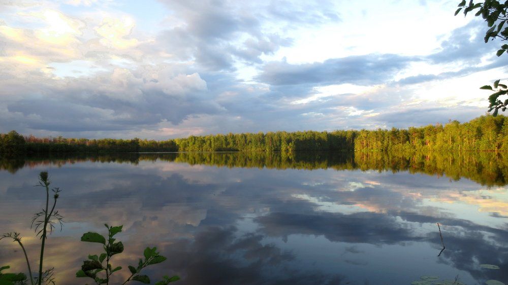 Заповедное место
