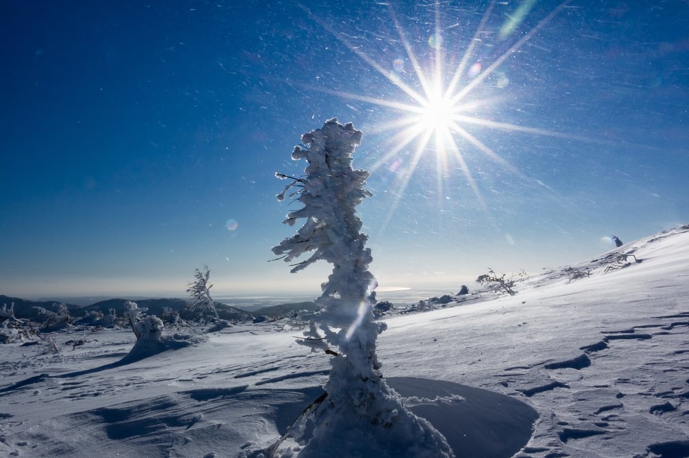 Ледяное безмолвие