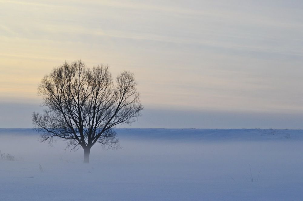 Photograph by Роман