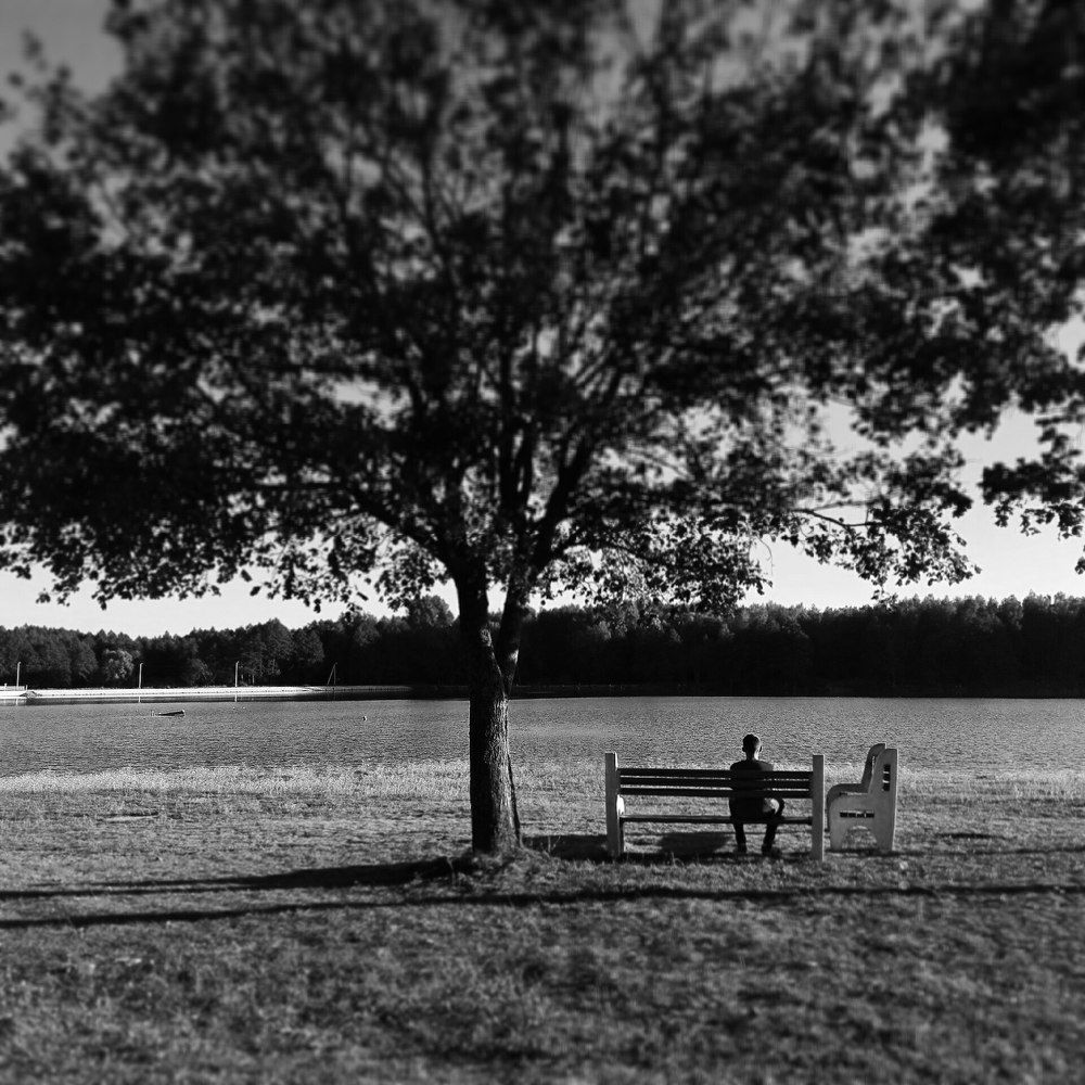 Лавочка под деревом