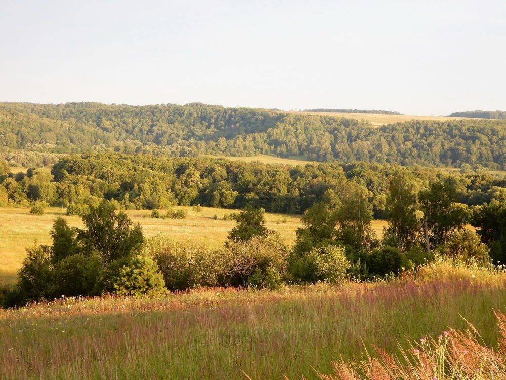 Родные просторы / Native Expanses