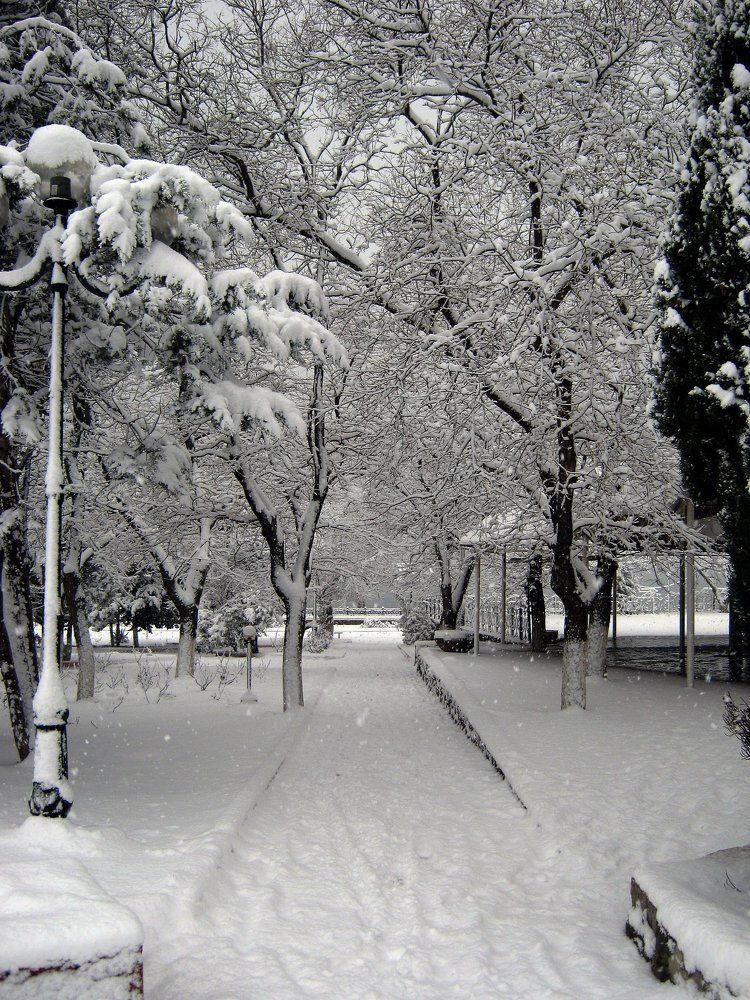 Зима в Крыму