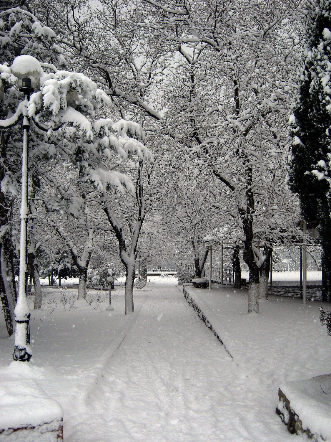 Зима в Крыму