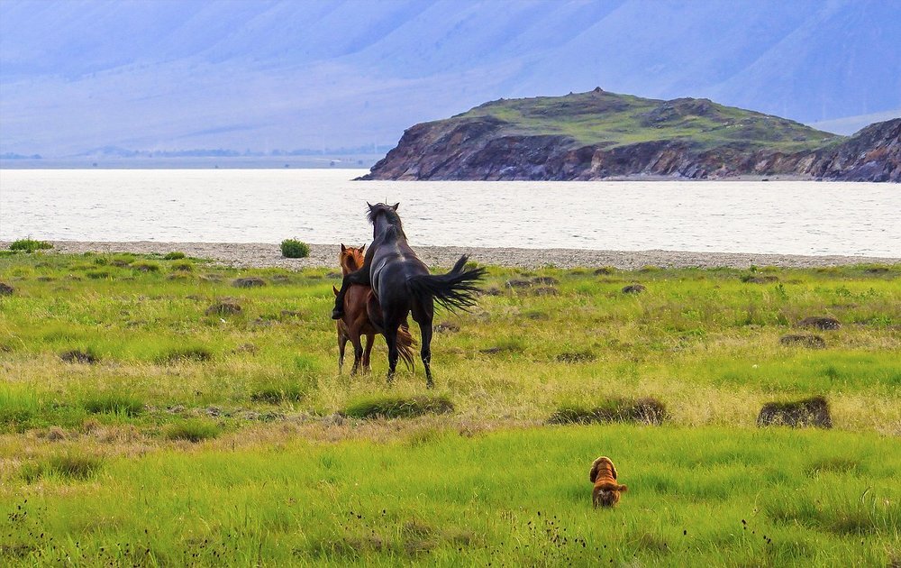 Третий лишний...))