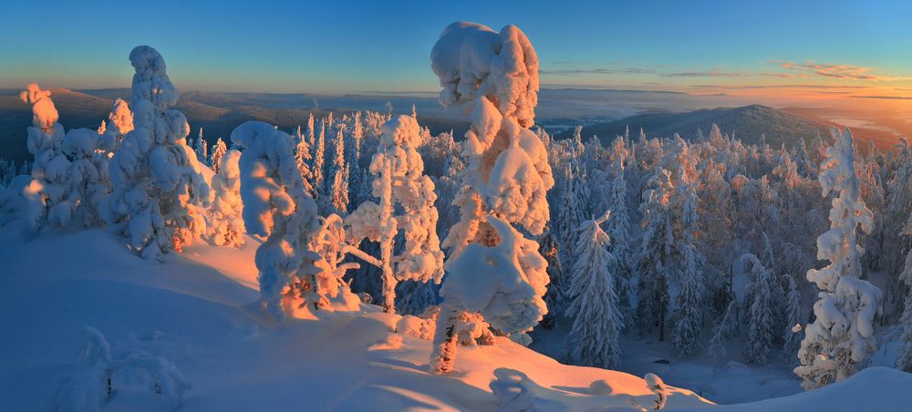 Холодная нежность