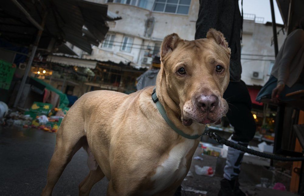 Photograph by Rivkin Vladislav