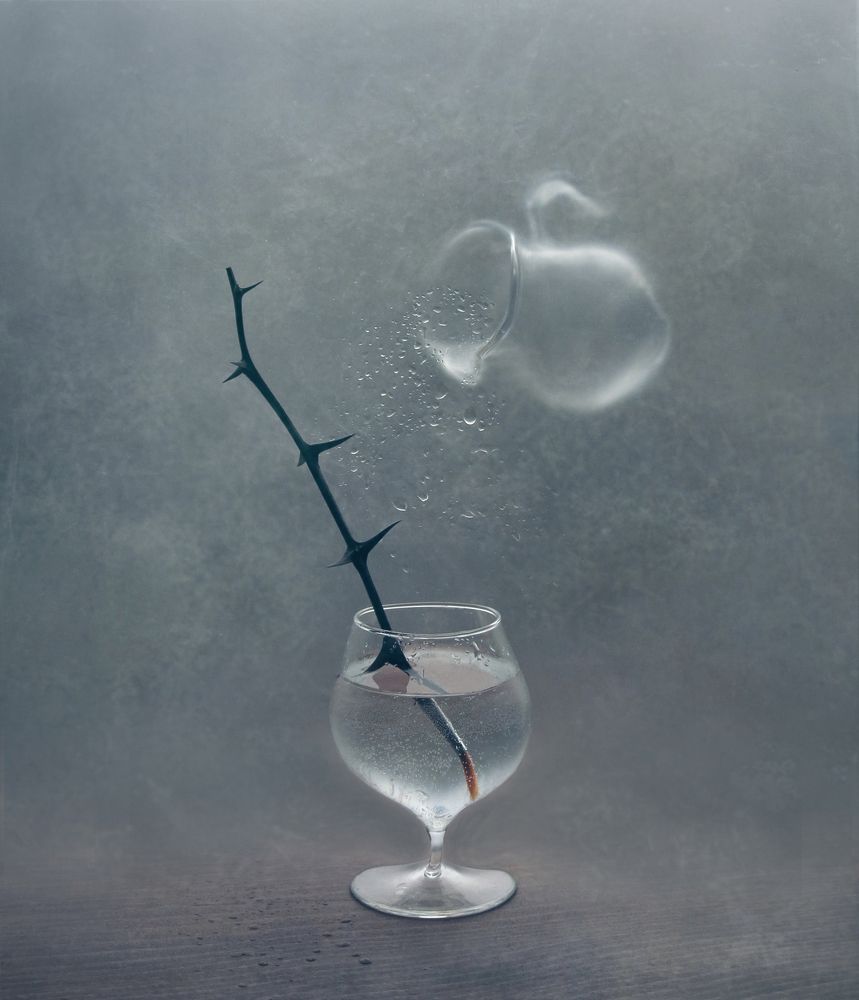 Фотография автора Елена Лысенко