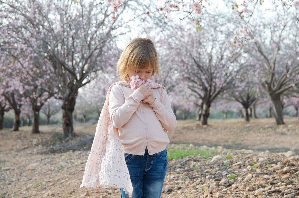 Цветущий миндаль