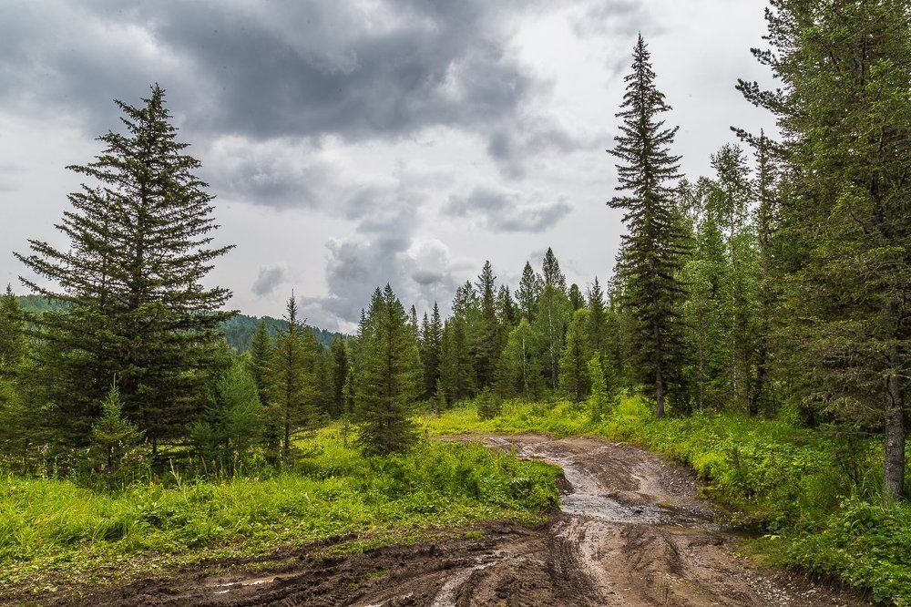 Дорогами Алтая