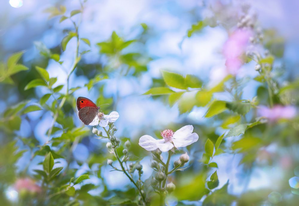 "Forgotten last summer"