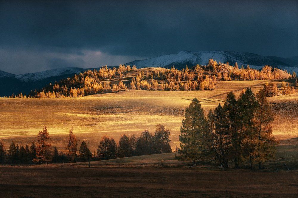 Фантазии на темы далёкой земли