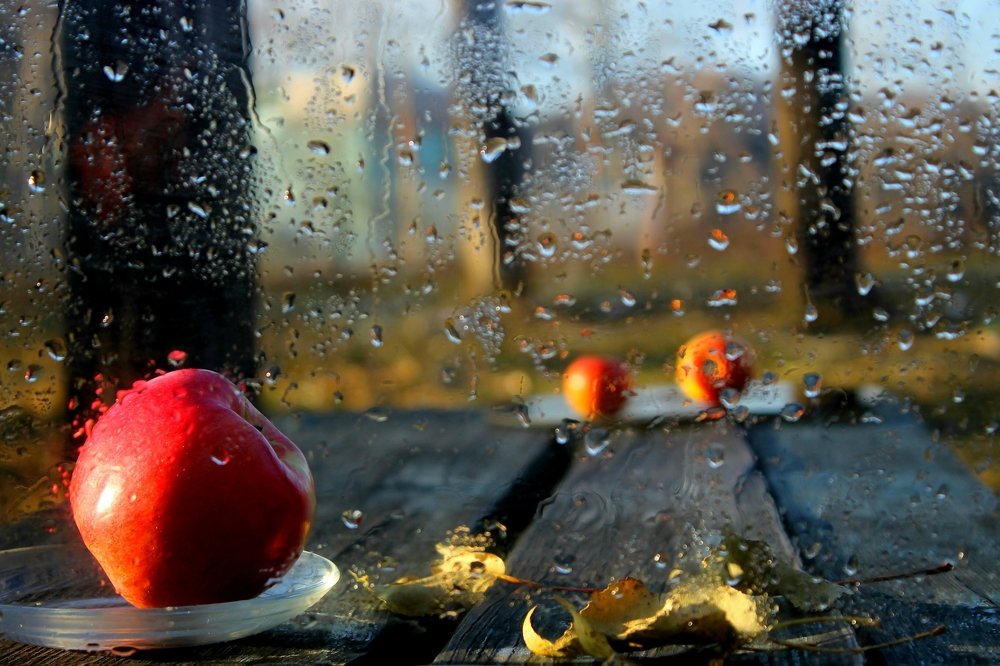 Осенний натюрморт