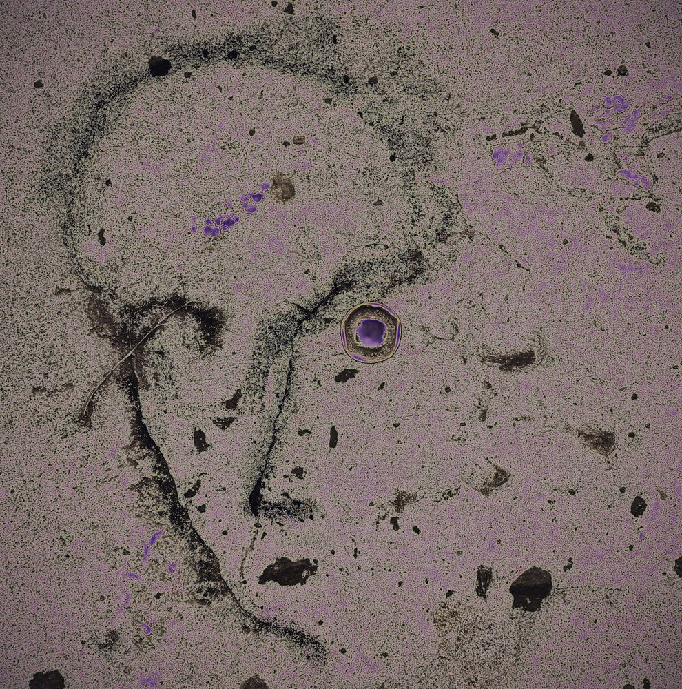 "КОНТРОЛЁРША"