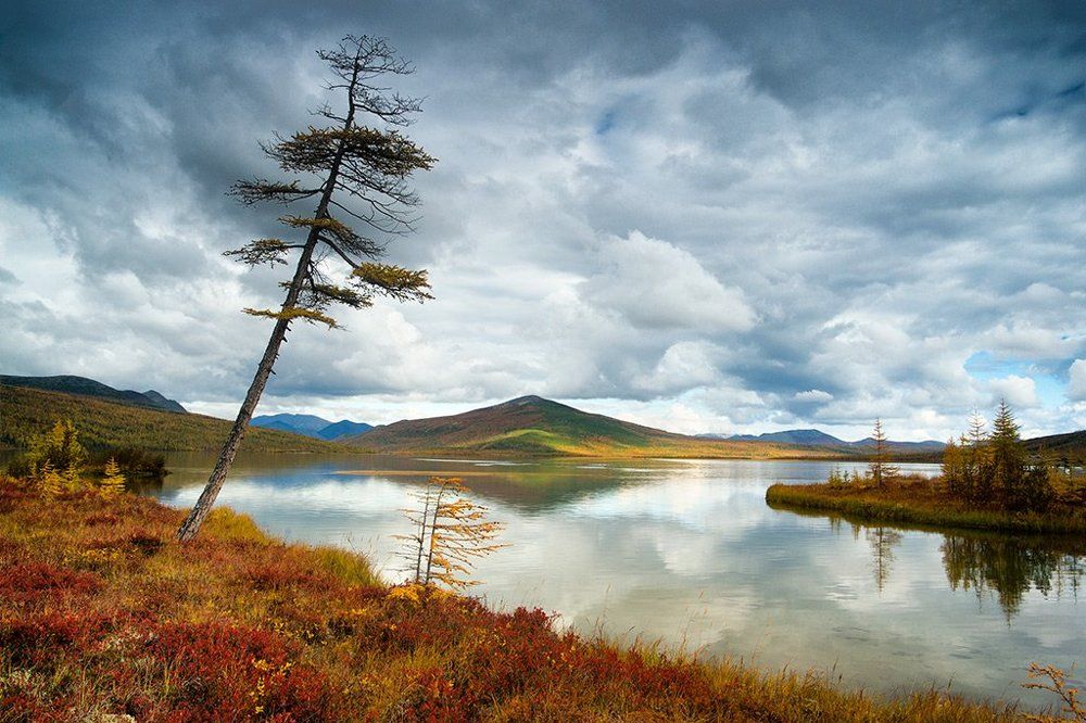 Устье Пурги