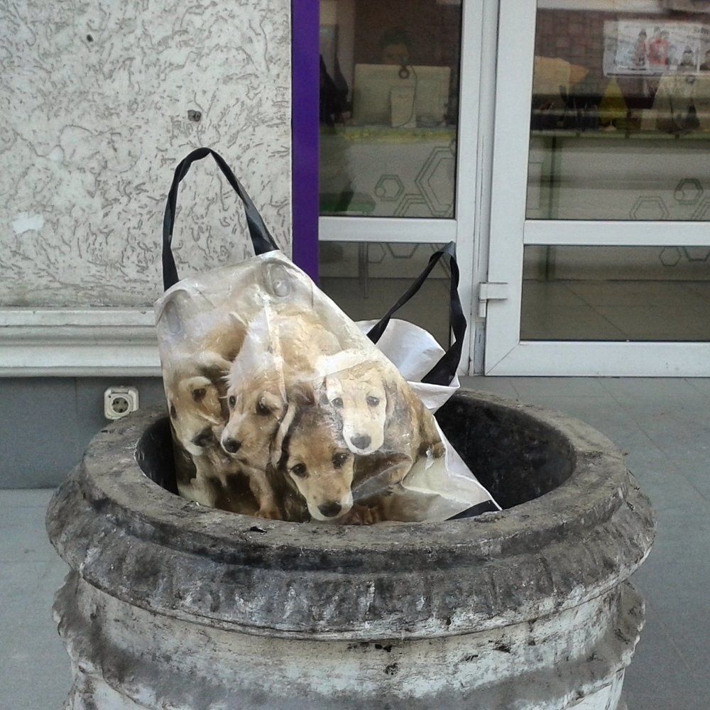 Без названия 5.