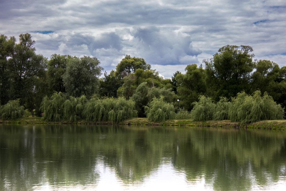 Photograph by Андрей