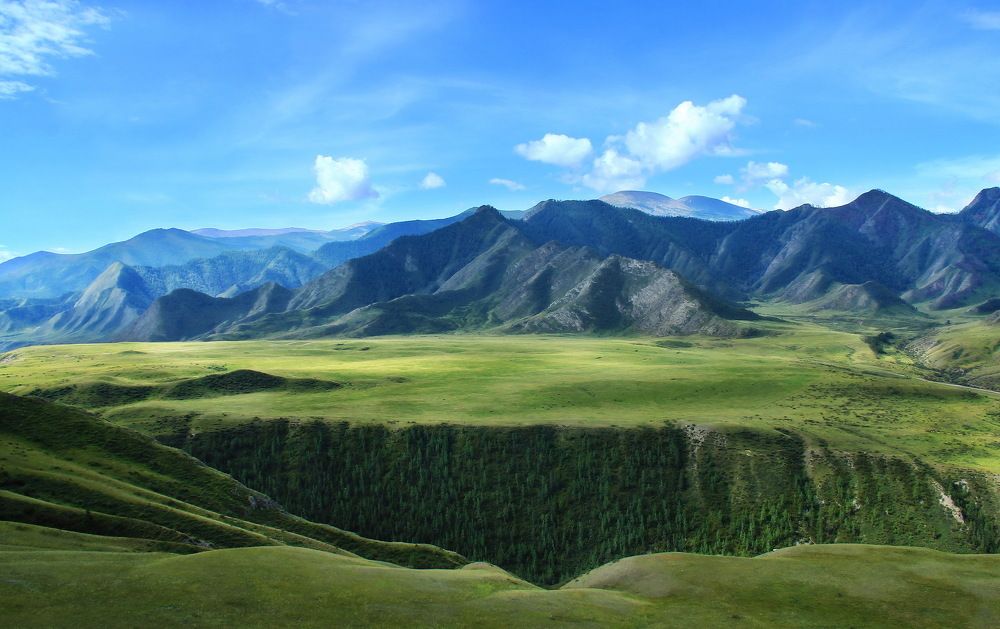 Гармоничная симметрия