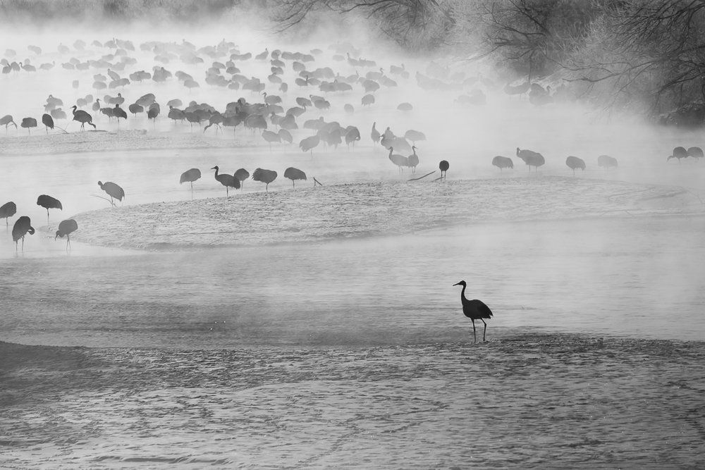о. Хоккайдо . Рассвет на реке.