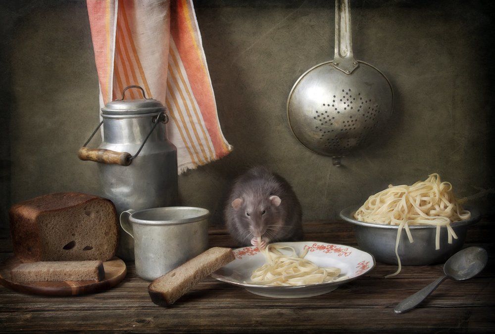 Люблю я макароны