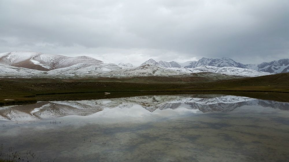Стальной рассвет