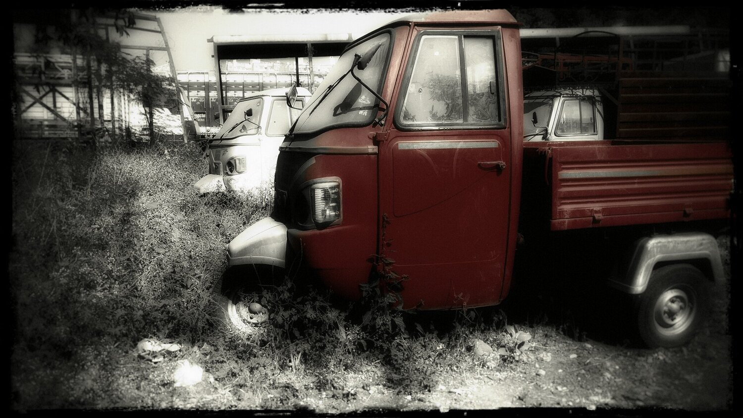 Red Bueaty in Junkyard