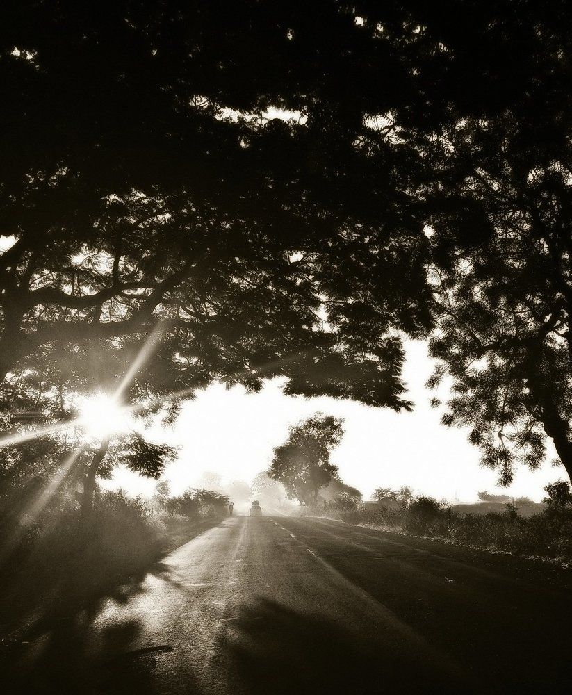 Drive in the morning