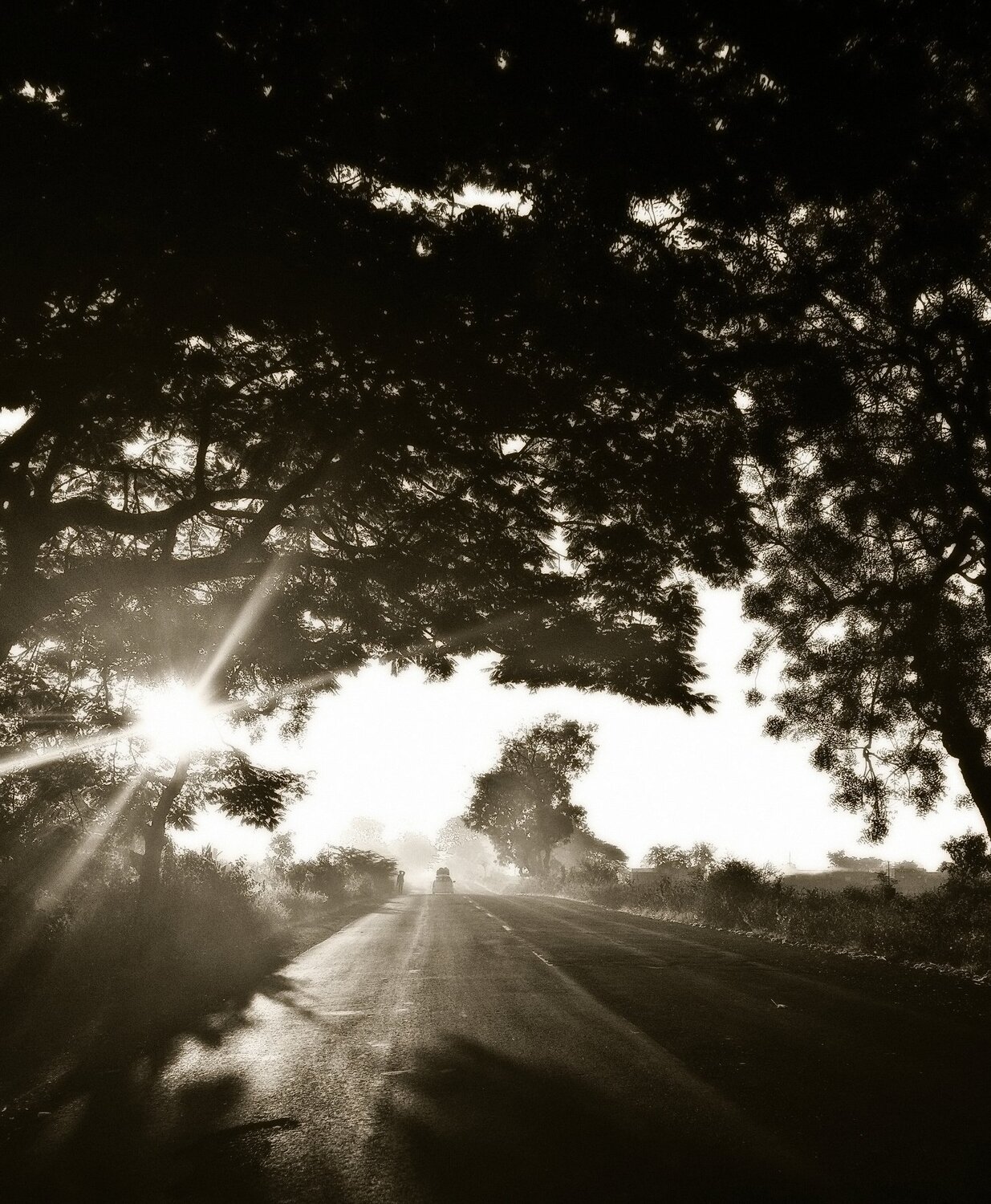 Drive in the morning