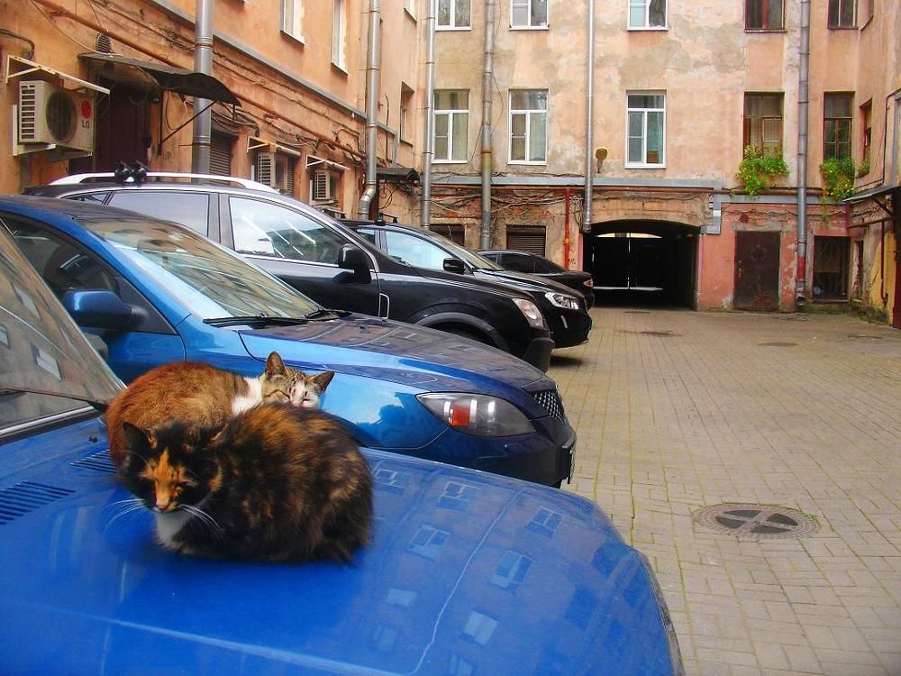 Photograph by Елена