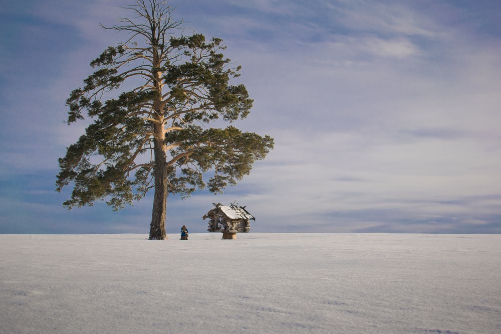 зимняя сказка
