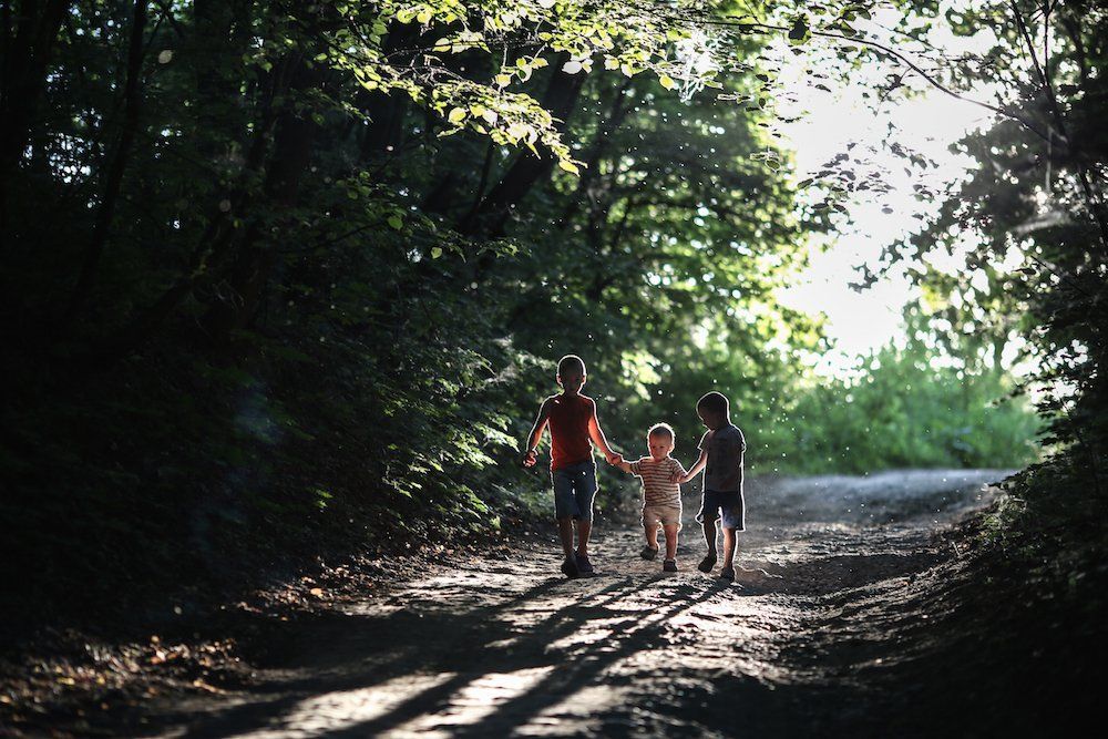 В волшебном лесу