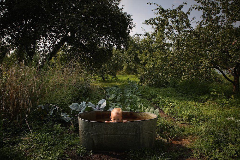 Во саду ли, в огороде