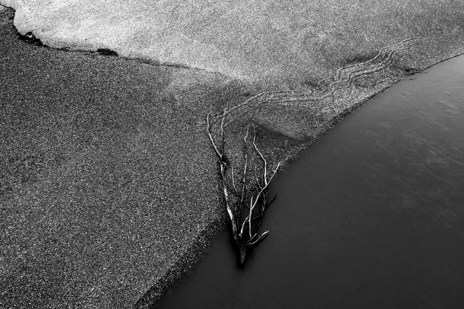 On the river shoal