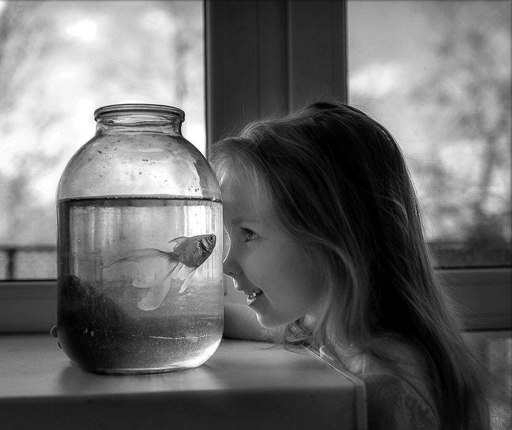 Загадай желание!