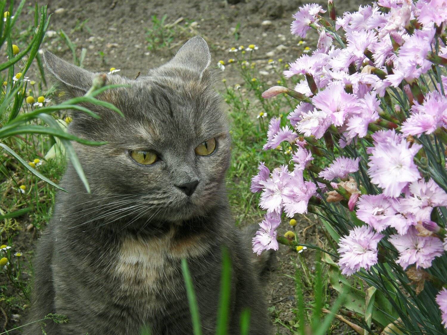 Релакс.