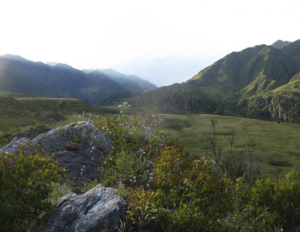 В горах Алтая