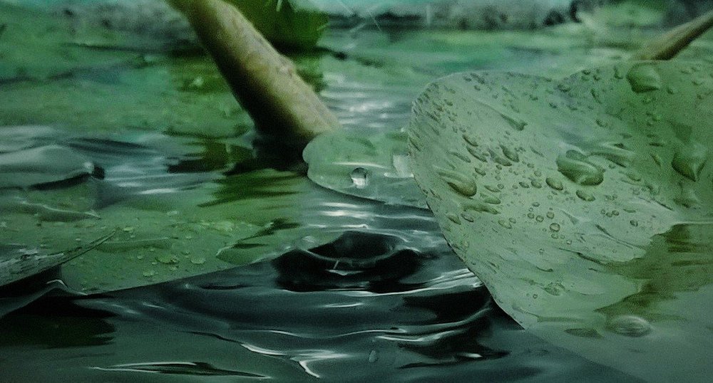 Dancing Drop..