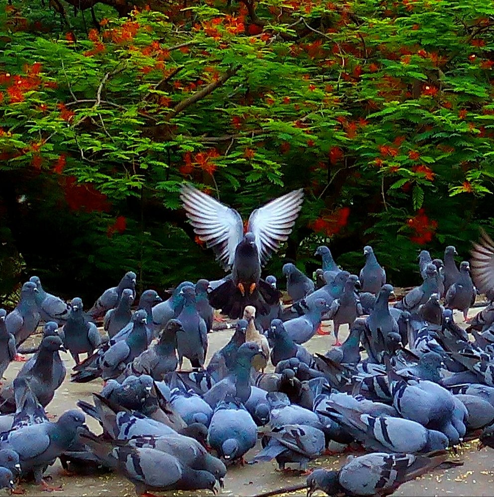 Beautiful landing..
