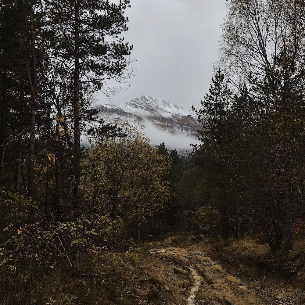 Горная дорога