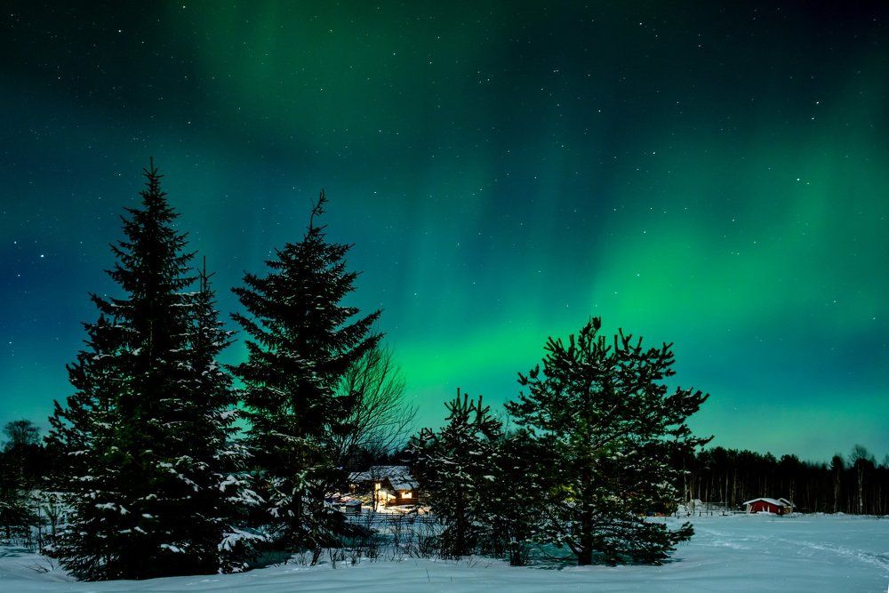 Микромир. Microcosm