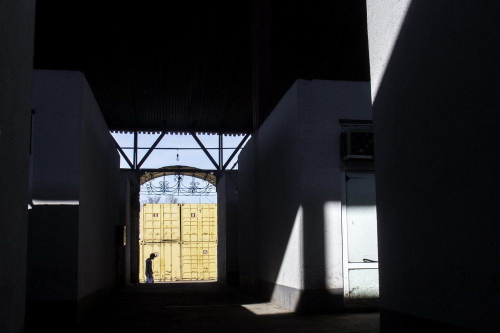 выйти из тени