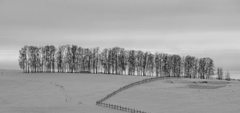 Photograph by Мирон Петаев