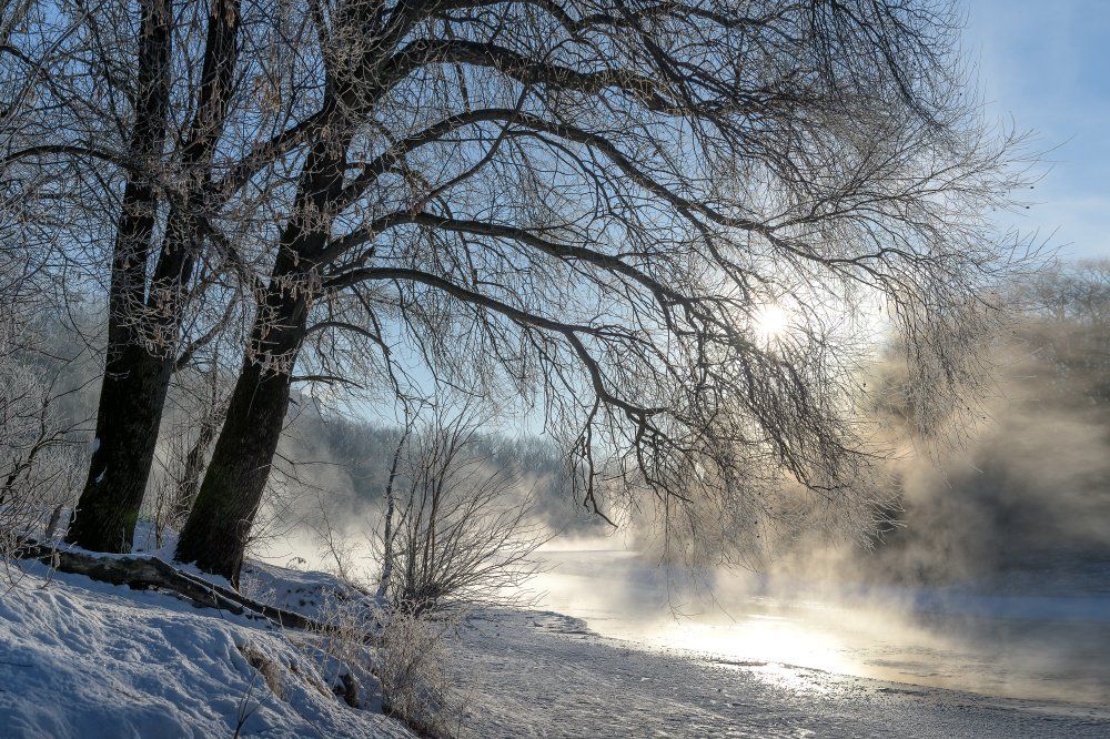 Белое солнце туманного утра