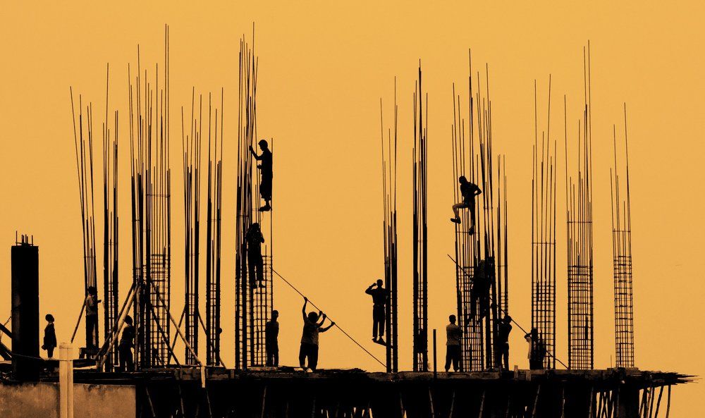 Learn from the roots