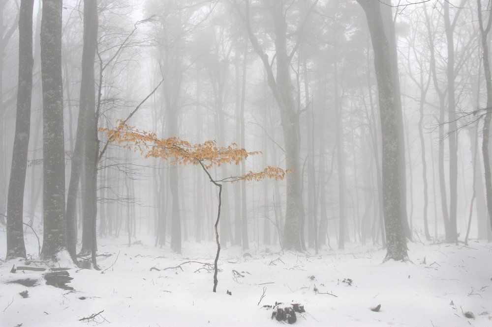 Легко ли быть молодым?