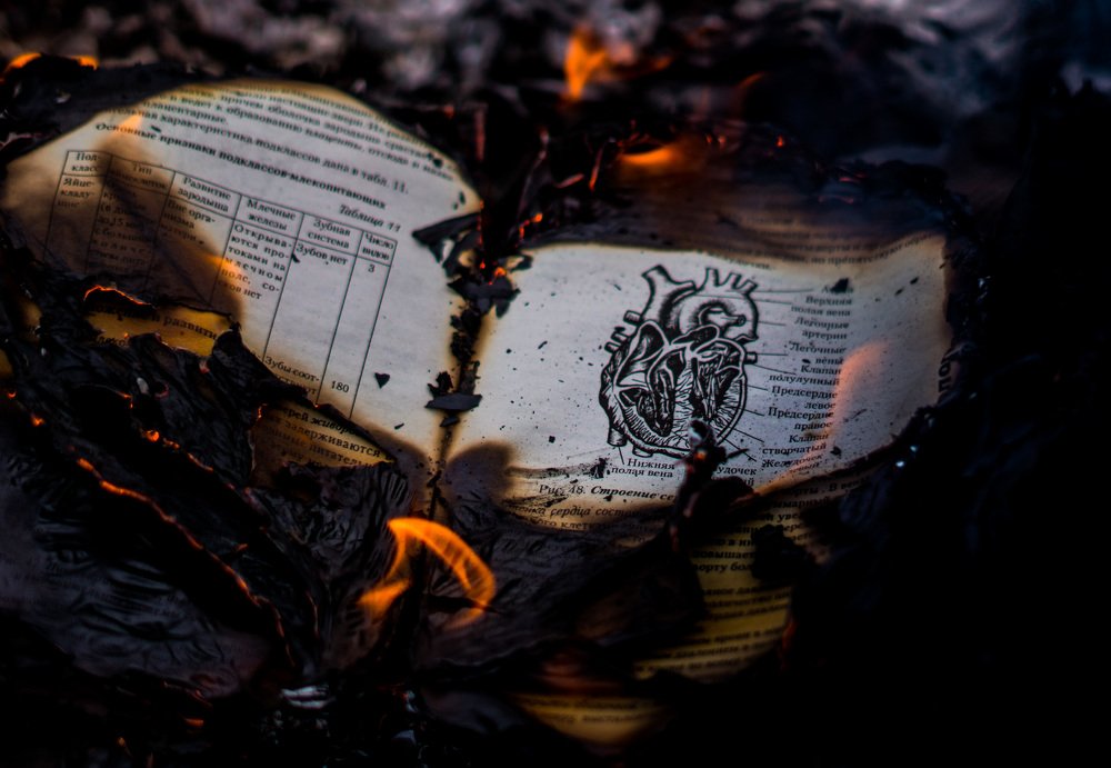 Photograph by Денис Давыдов