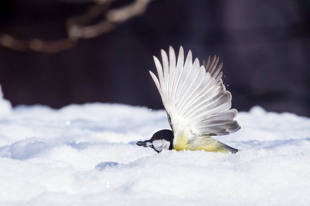 На взлёт с обедом...
