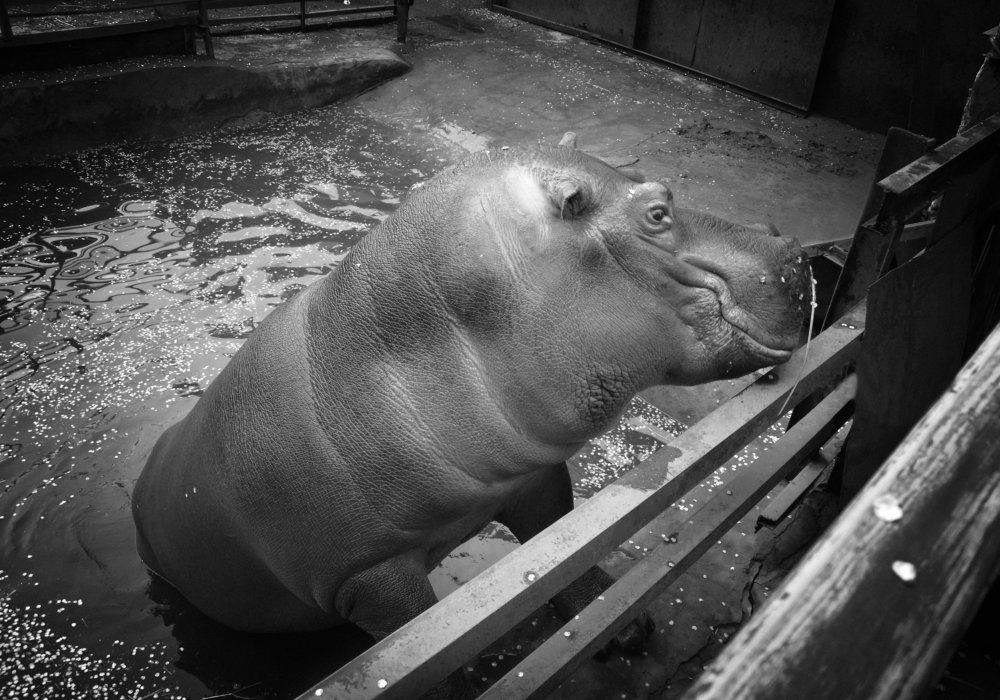 Знакомство