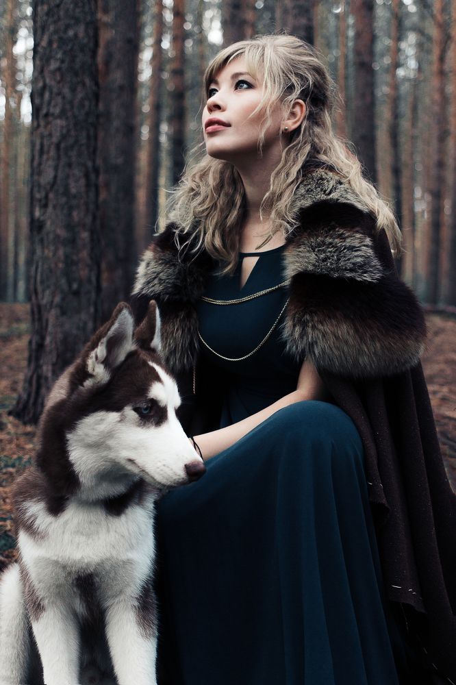 Викинг-друг